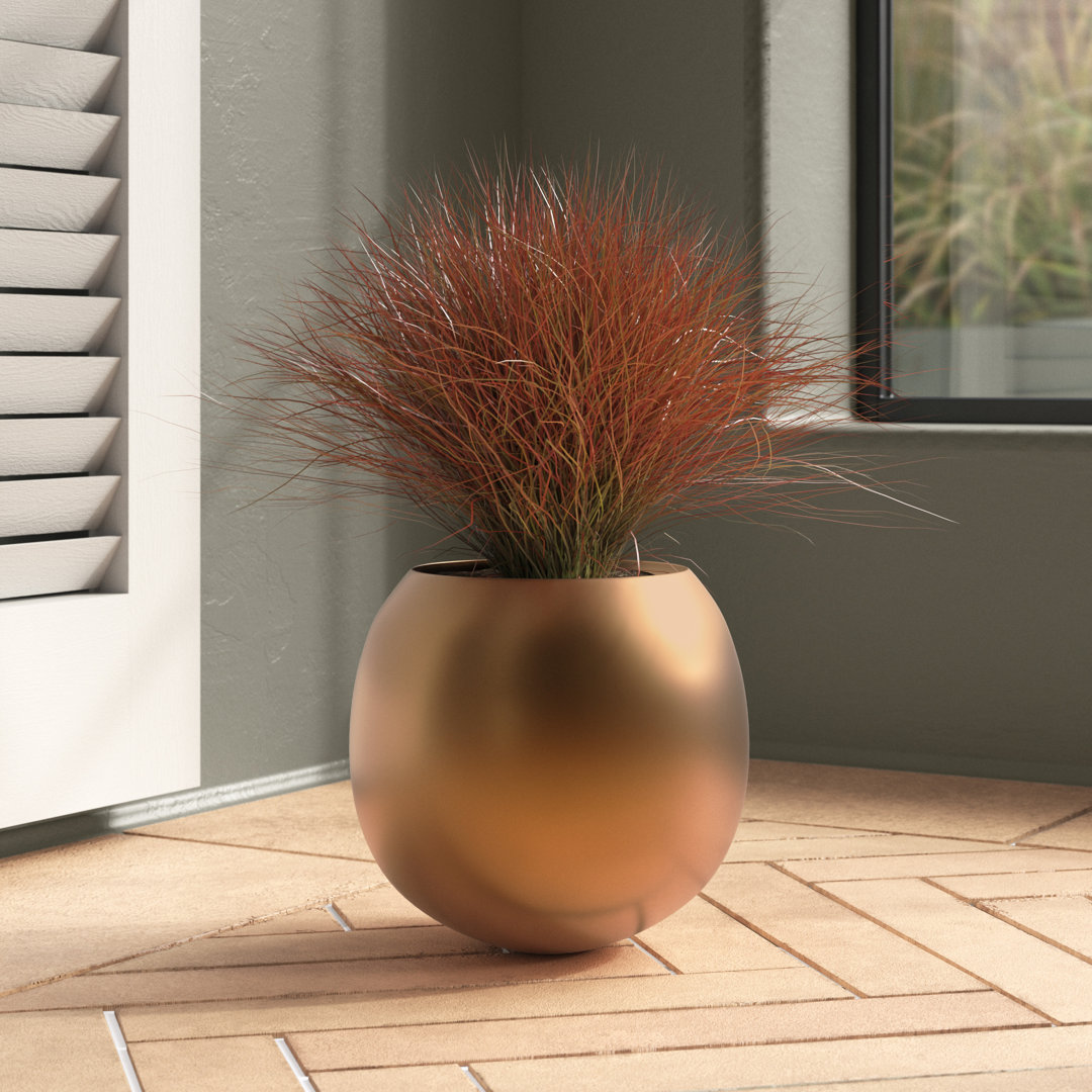Indrani 11" Cachepot